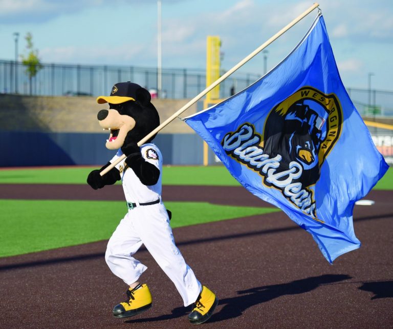 West Virginia Black Bears announce single game ticket sales - Dominion Post