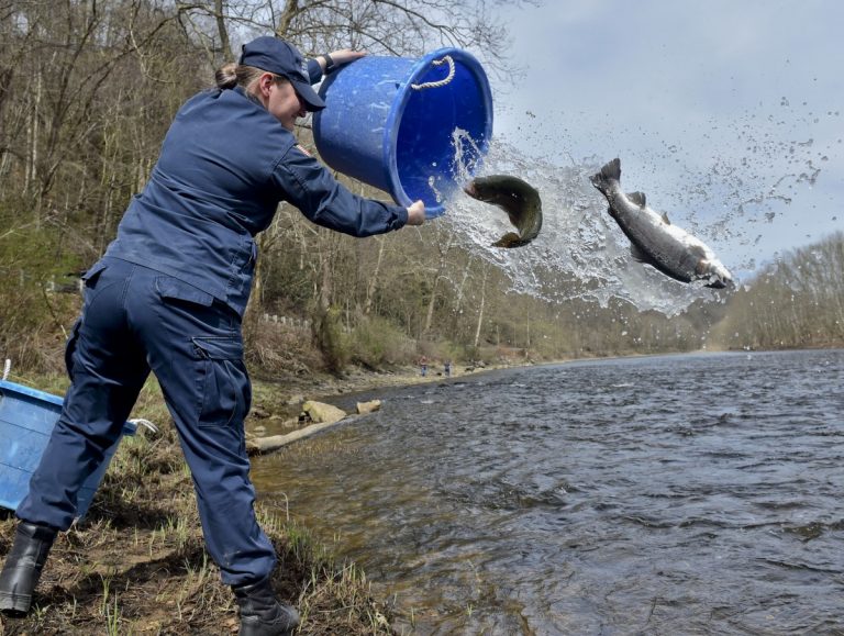 WVDNR postpones Gold Rush trout stocking, will continue with regularly