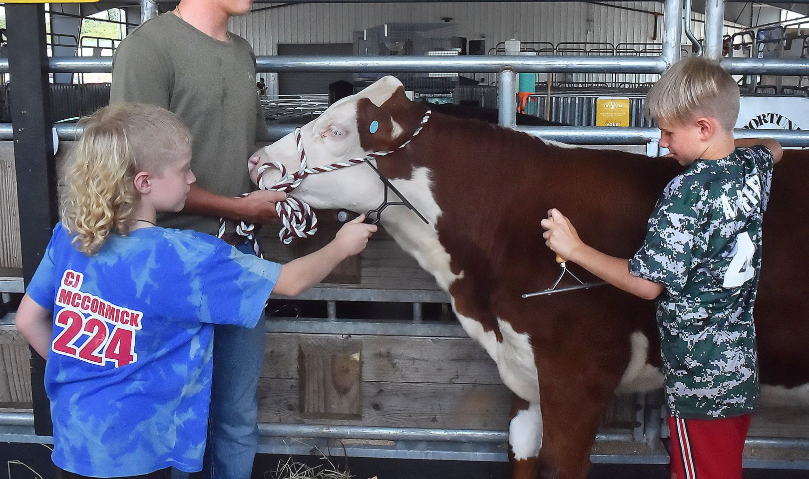 Mon County Fair Dominion Post