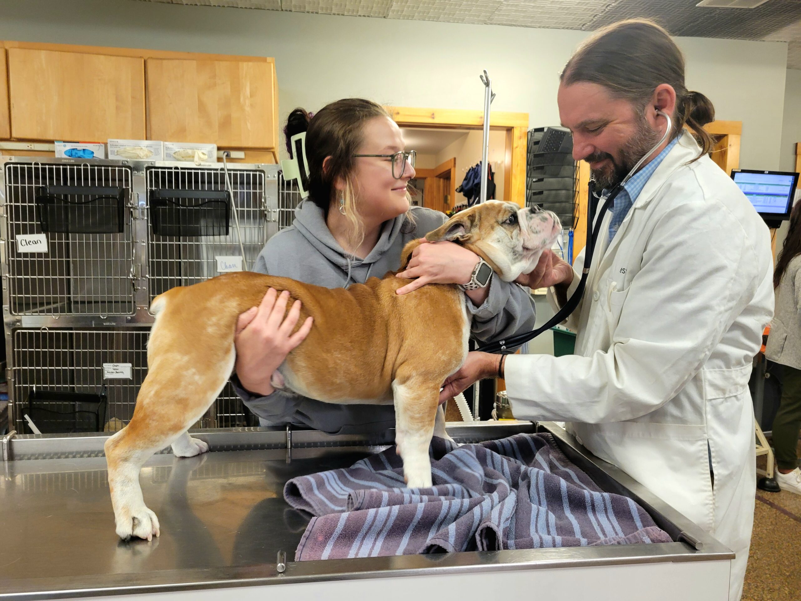 Canine heat stroke cases on the rise locally; emergency veterinarian advises pet owners on warning signs