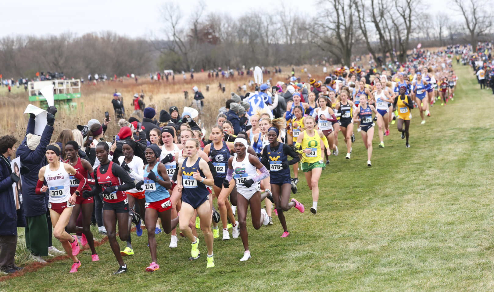 WVU takes second at NCAA crosscountry national championships, Ceili